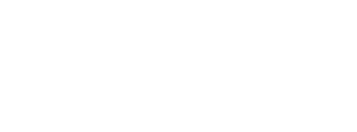Dolphin Markets